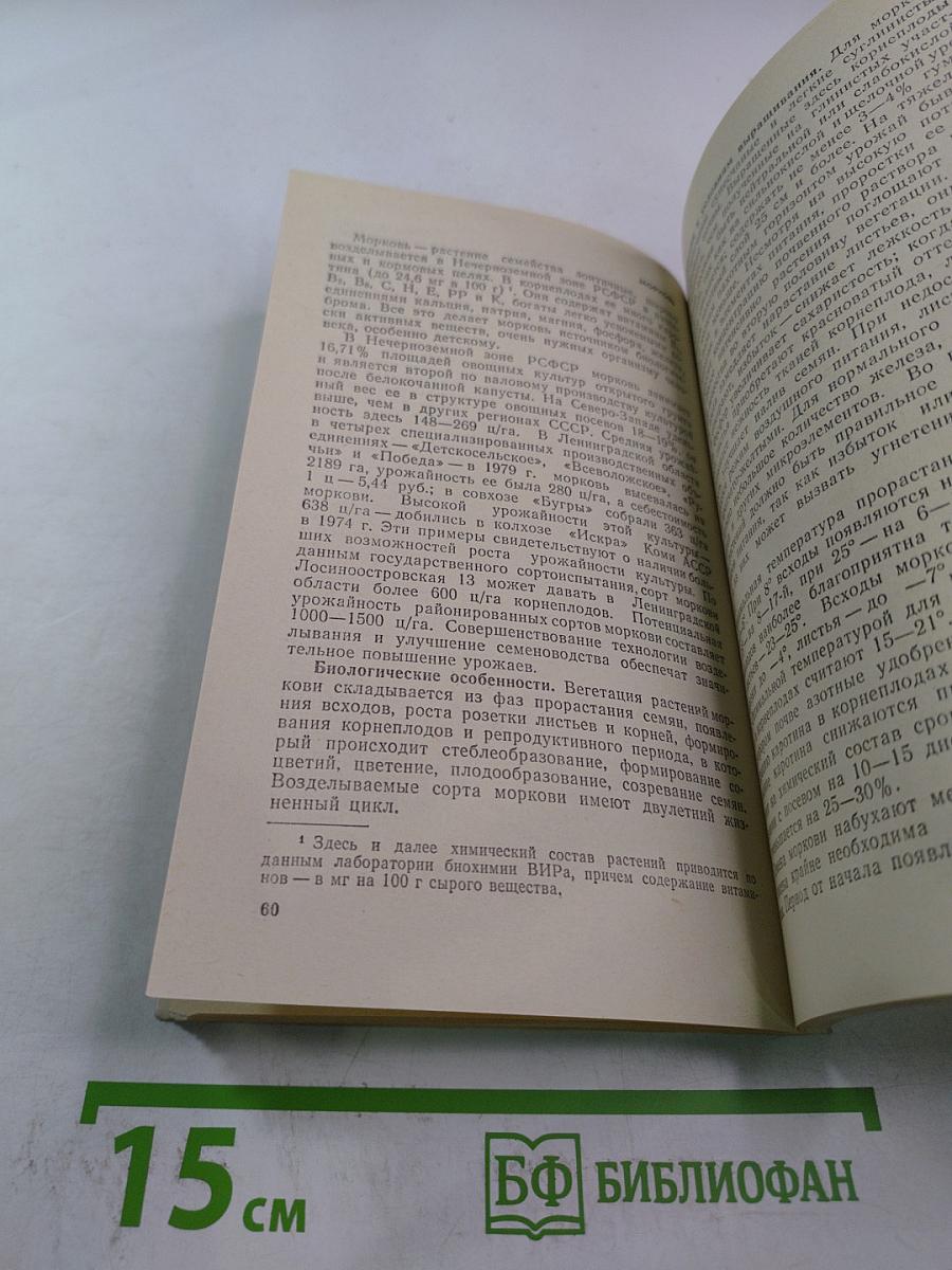 Овощные культуры. Открытый грунт