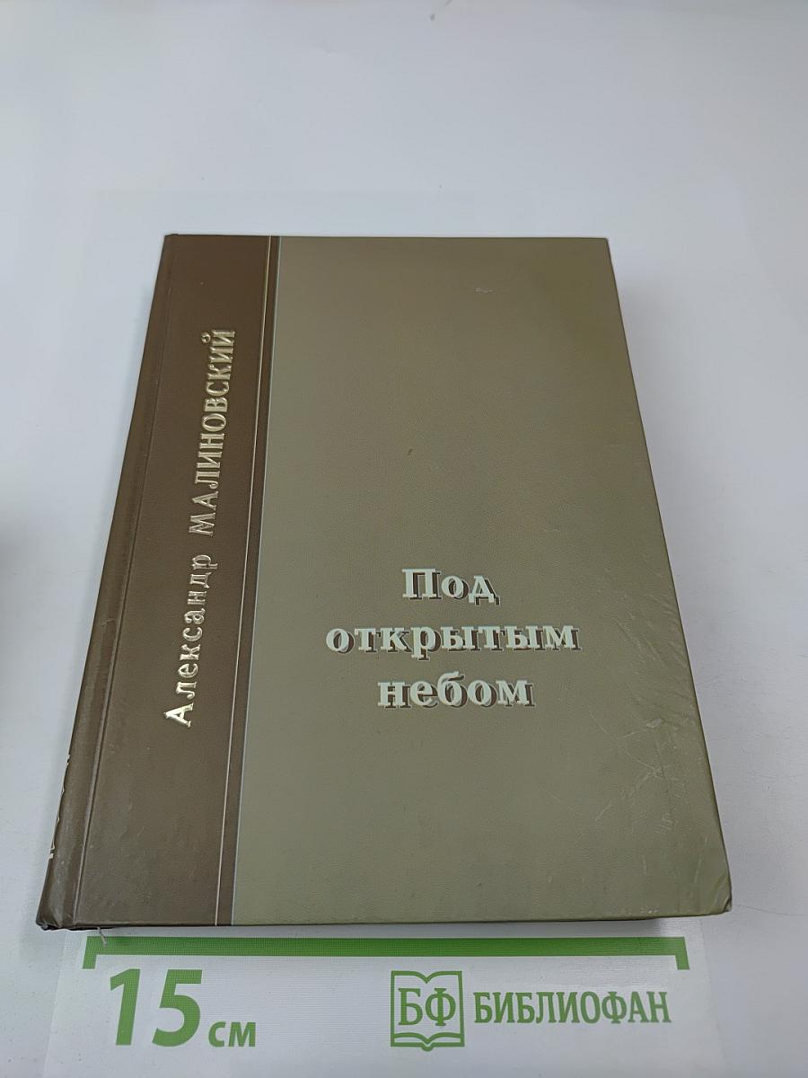 Под открытым небом. История одной жизни. Том второй