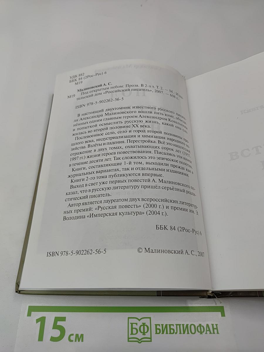 Под открытым небом. История одной жизни. Том второй