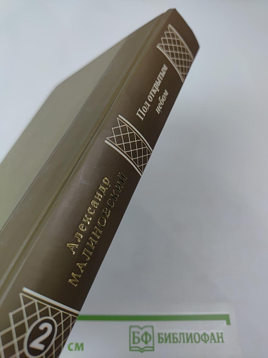 Под открытым небом. История одной жизни. Том второй