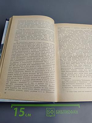 Я лучшей доли не искал... Судьба Александра Блока в письмах, дневниках, воспоминаниях