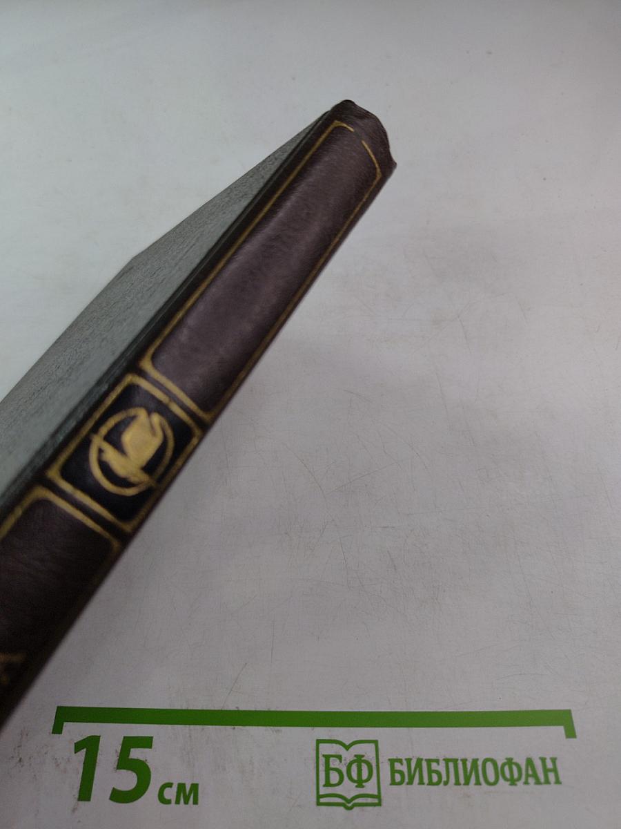 Физиология Петербурга