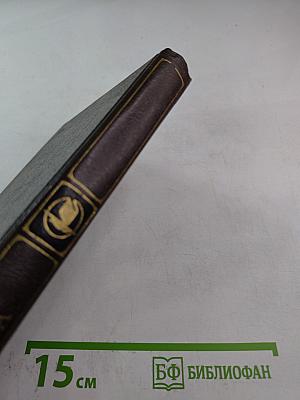 Физиология Петербурга