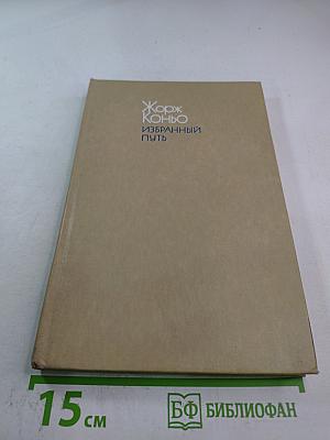 Избранный путь