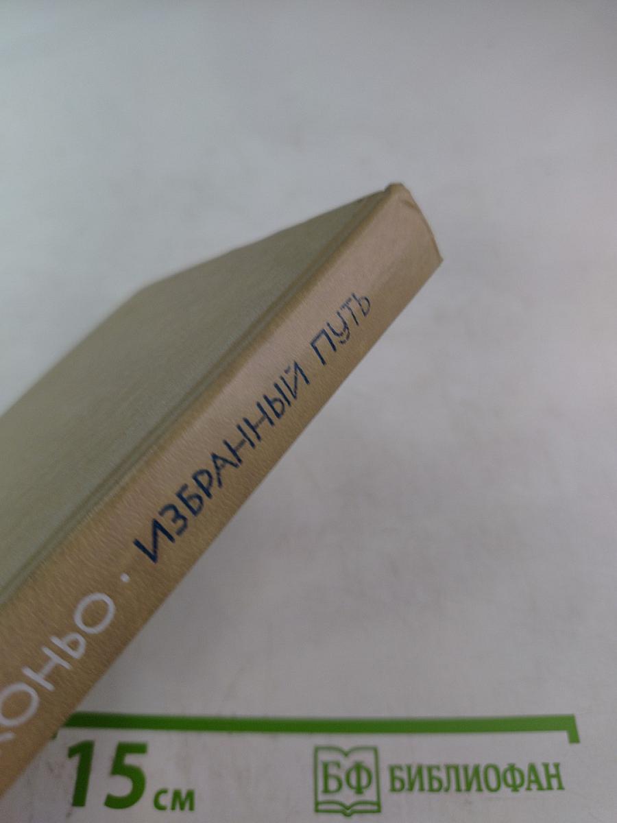 Избранный путь