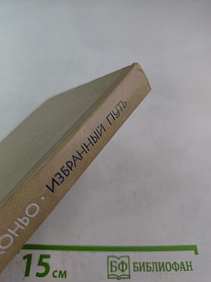 Избранный путь