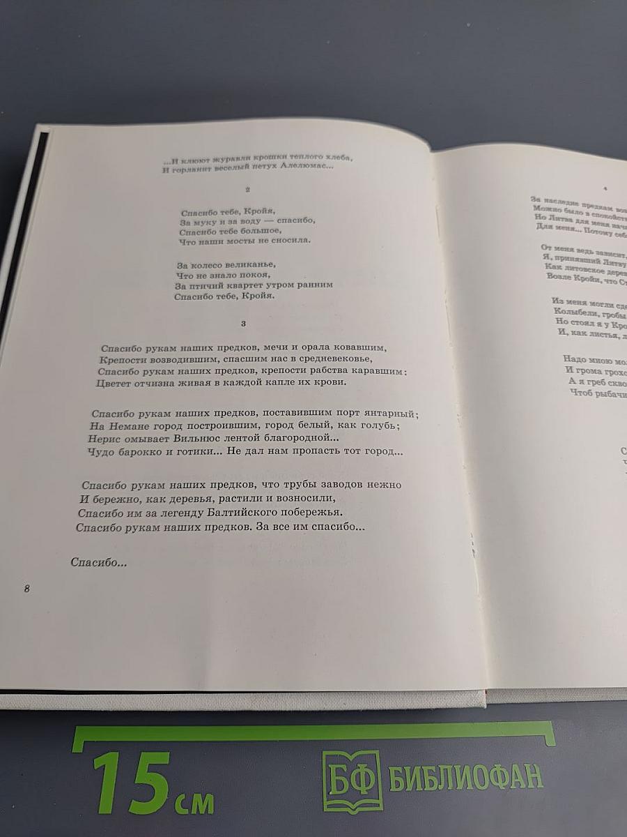 Микропоэмы