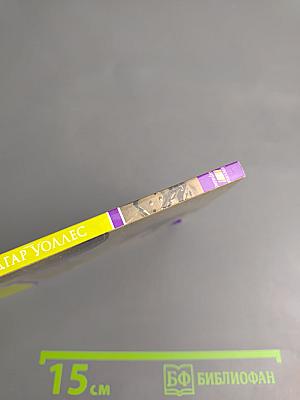 По обе стороны закона