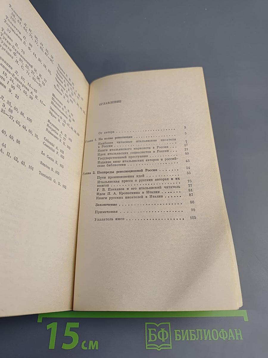 Русско-итальянские общественные связи