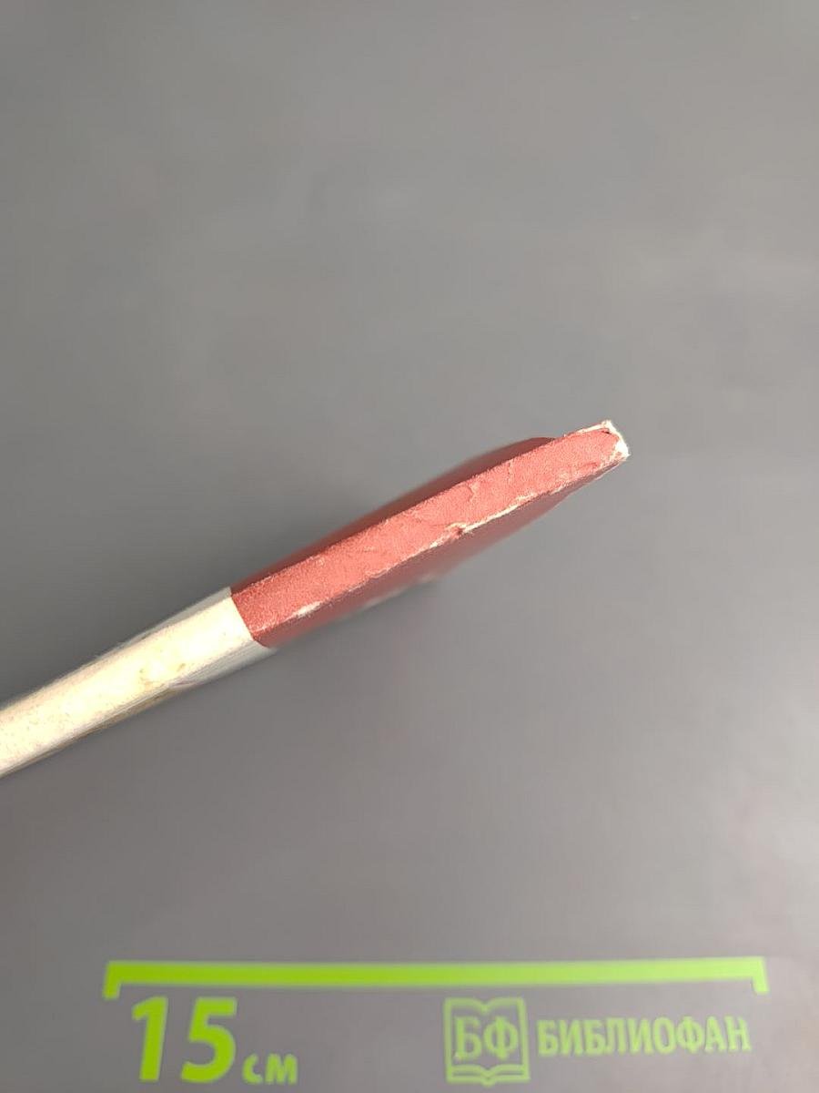 Русско-итальянские общественные связи