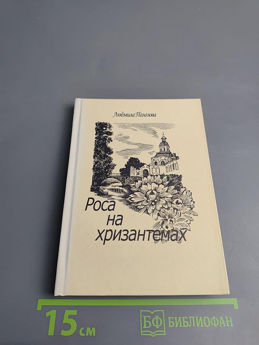 Роса на хризантемах