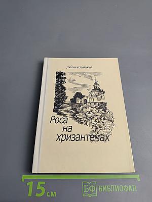 Роса на хризантемах