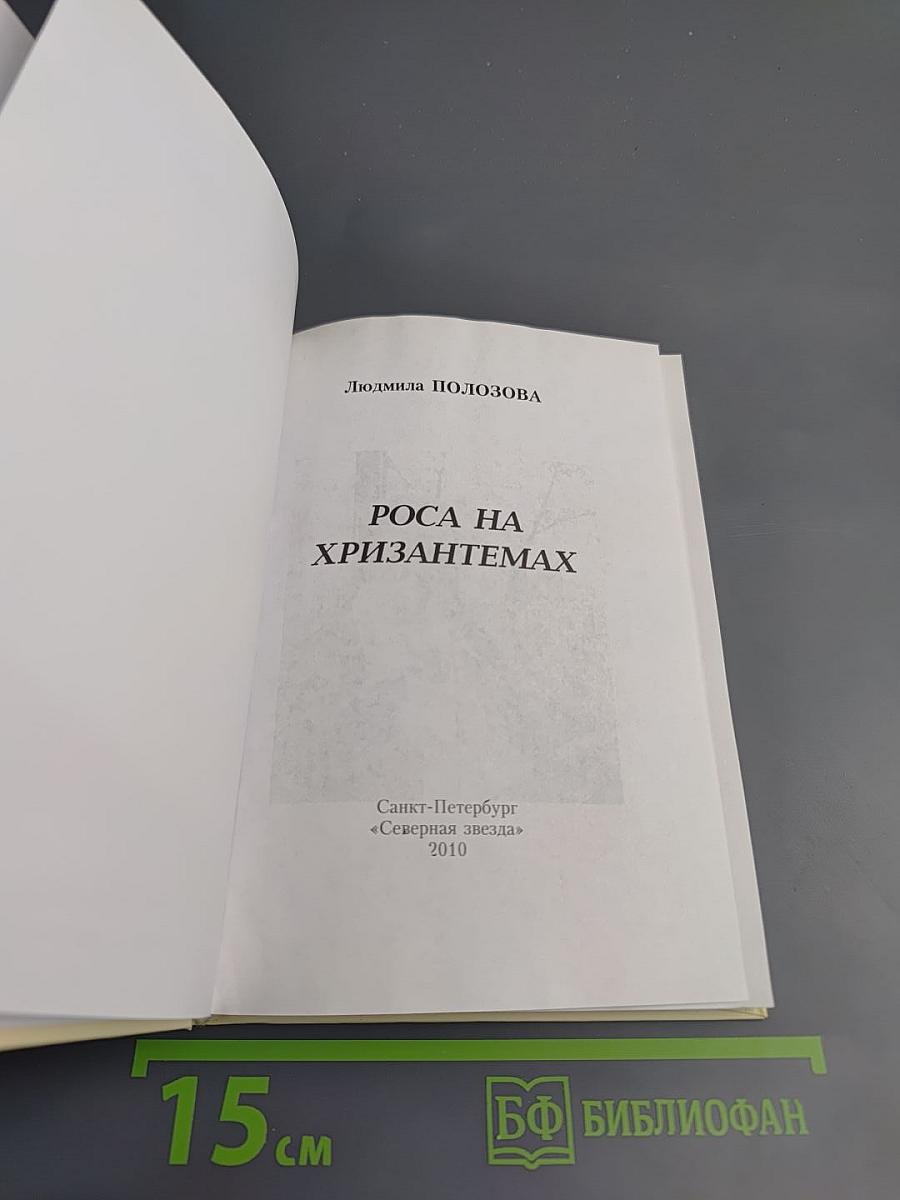 Роса на хризантемах