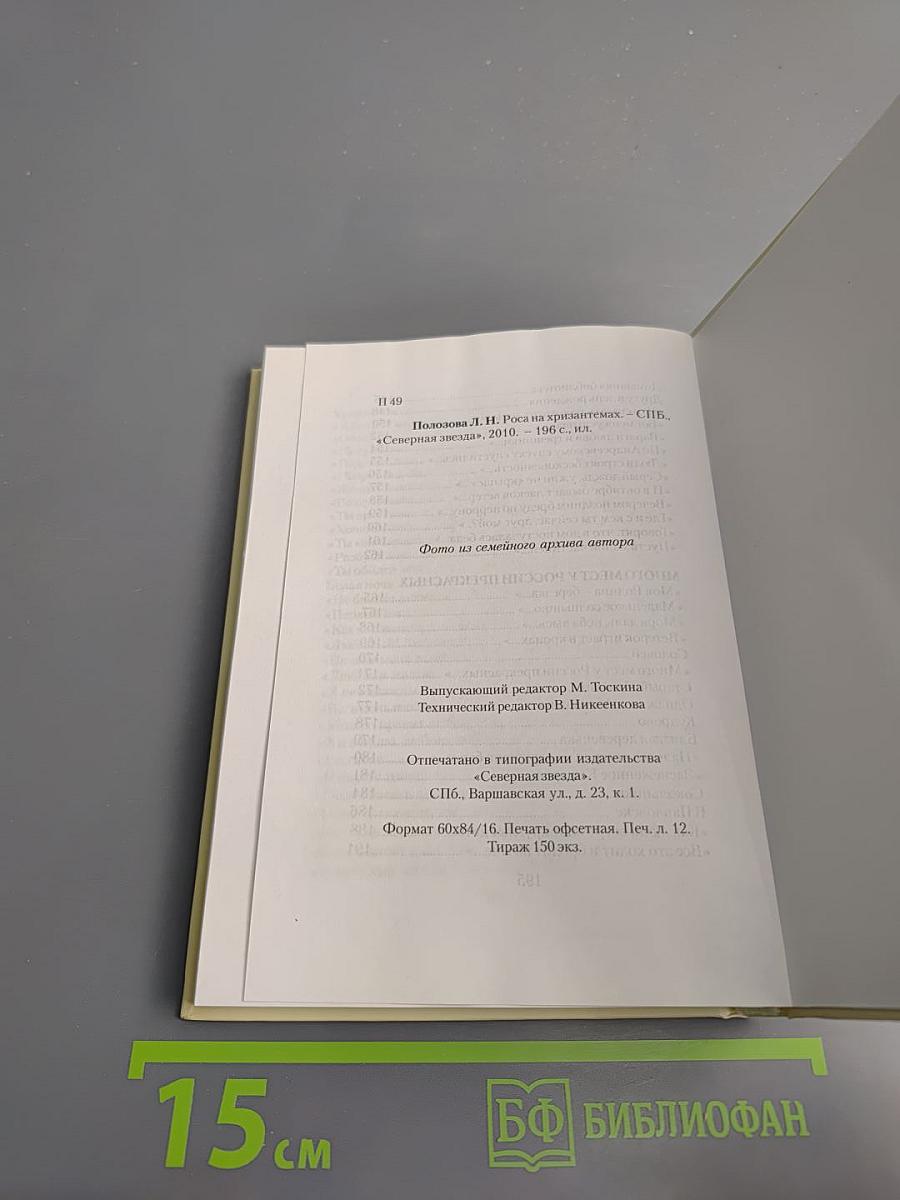 Роса на хризантемах