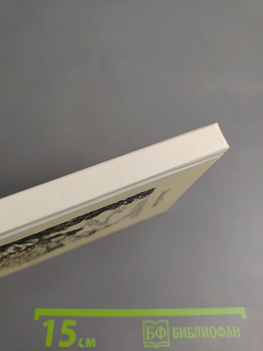 Роса на хризантемах