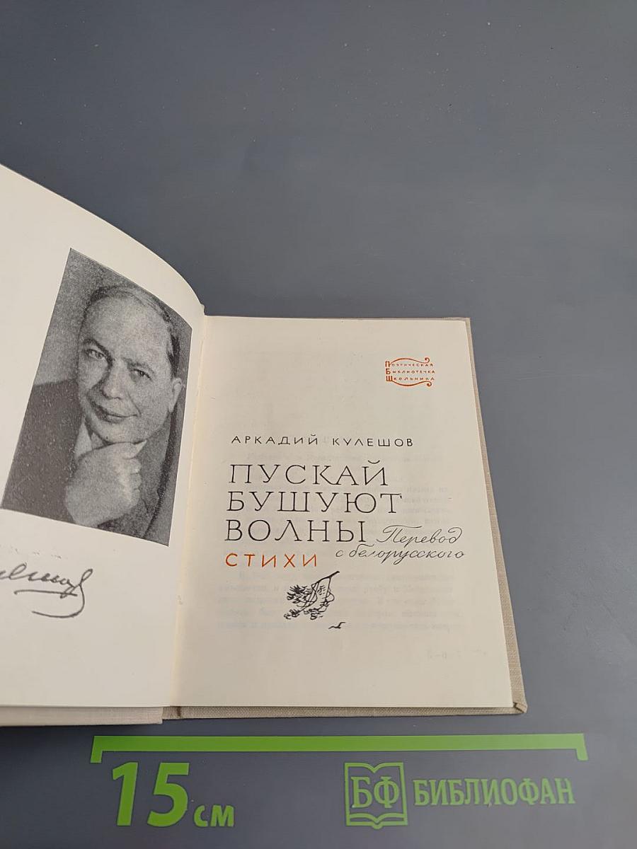 Пускай бушуют волны