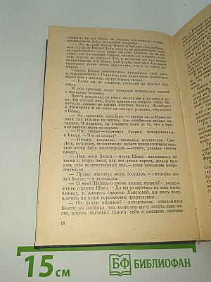Графиня де Монсоро