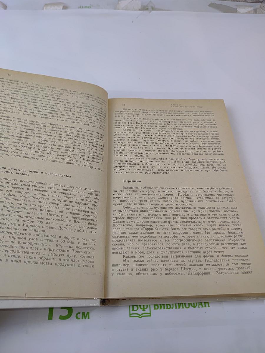 Будущее – океан