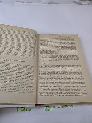 Будущее – океан