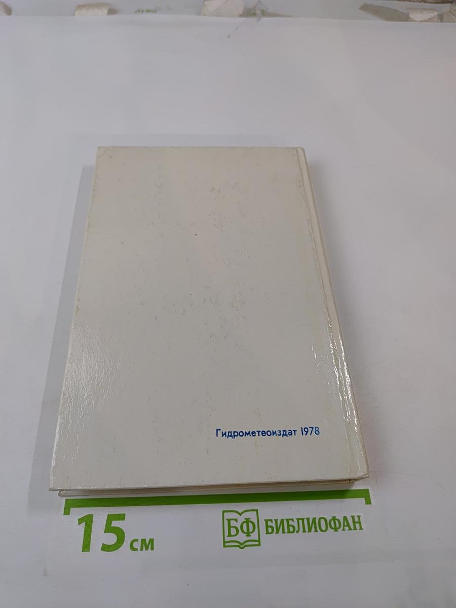 Будущее – океан