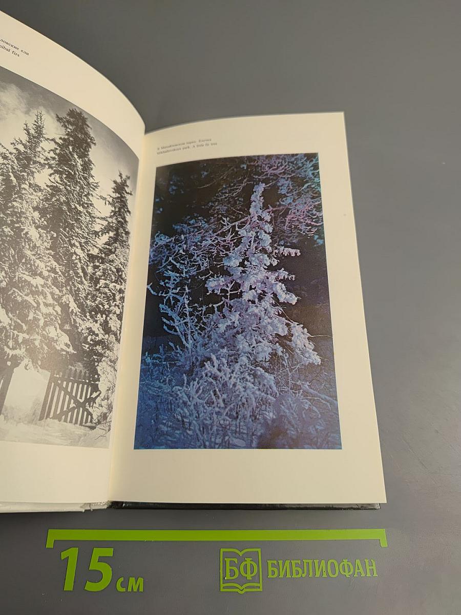 В краю великих вдохновений