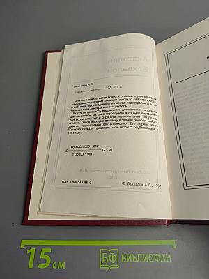 Начальник милиции