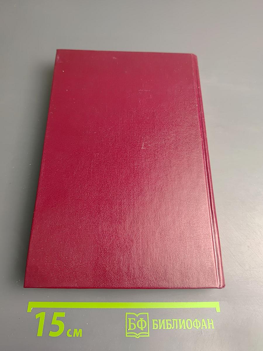 Начальник милиции