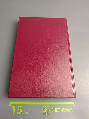 Начальник милиции