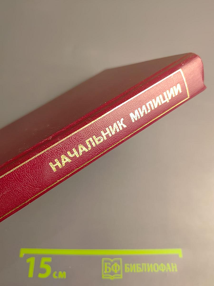 Начальник милиции