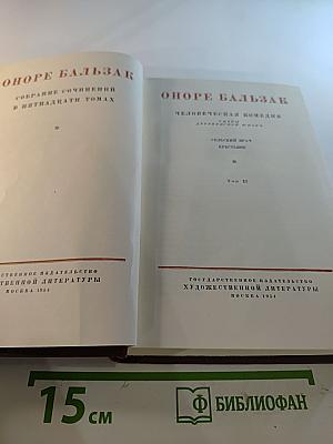 Человеческая комедия. Деревенская жизнь. Сельский врач. Крестьяне. Том 12