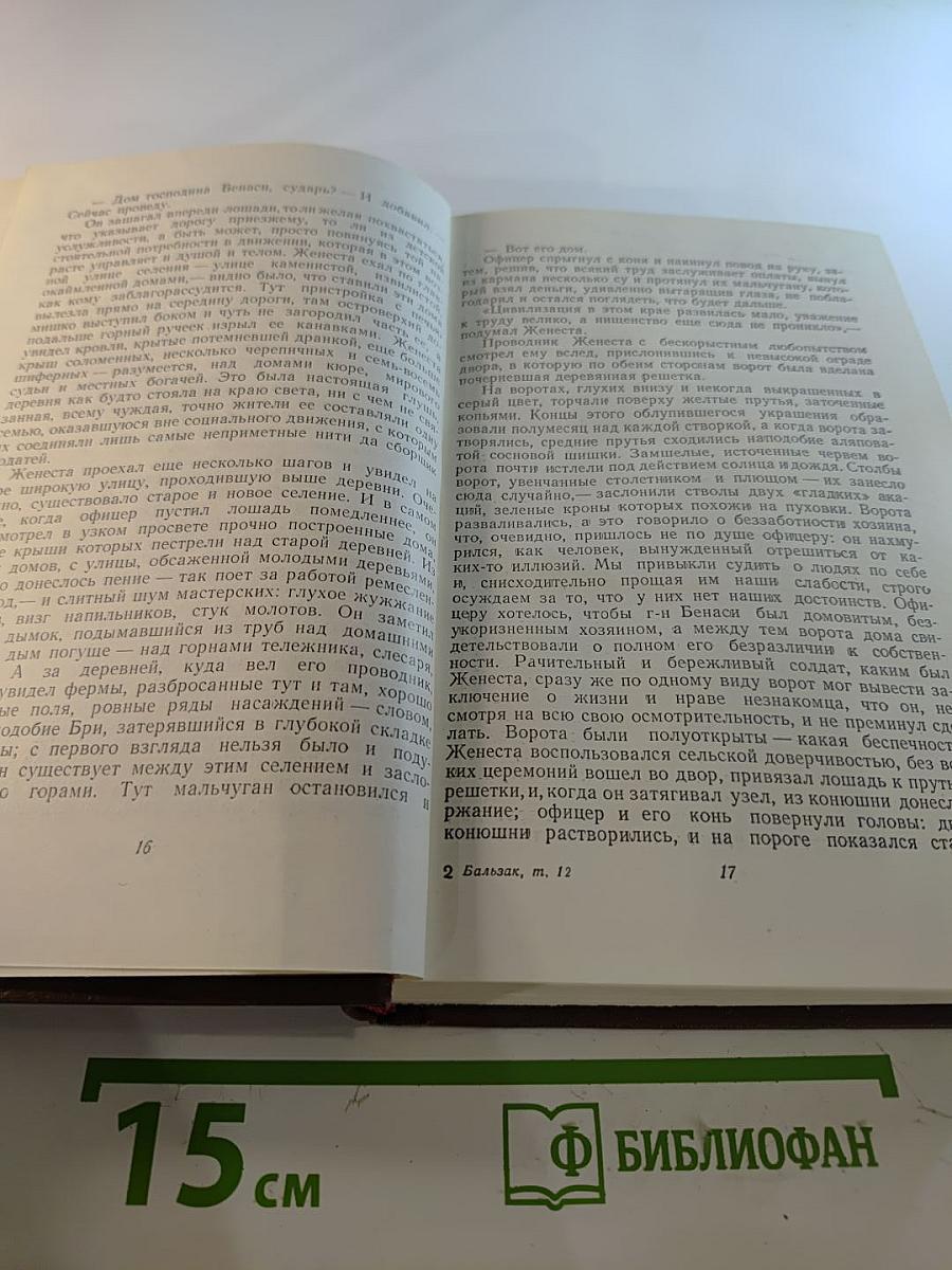 Человеческая комедия. Деревенская жизнь. Сельский врач. Крестьяне. Том 12