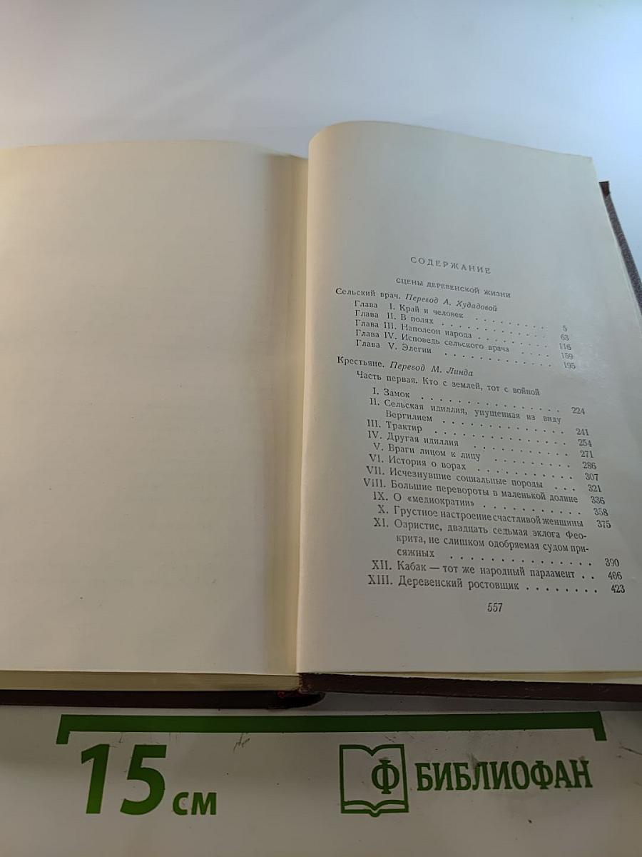 Человеческая комедия. Деревенская жизнь. Сельский врач. Крестьяне. Том 12