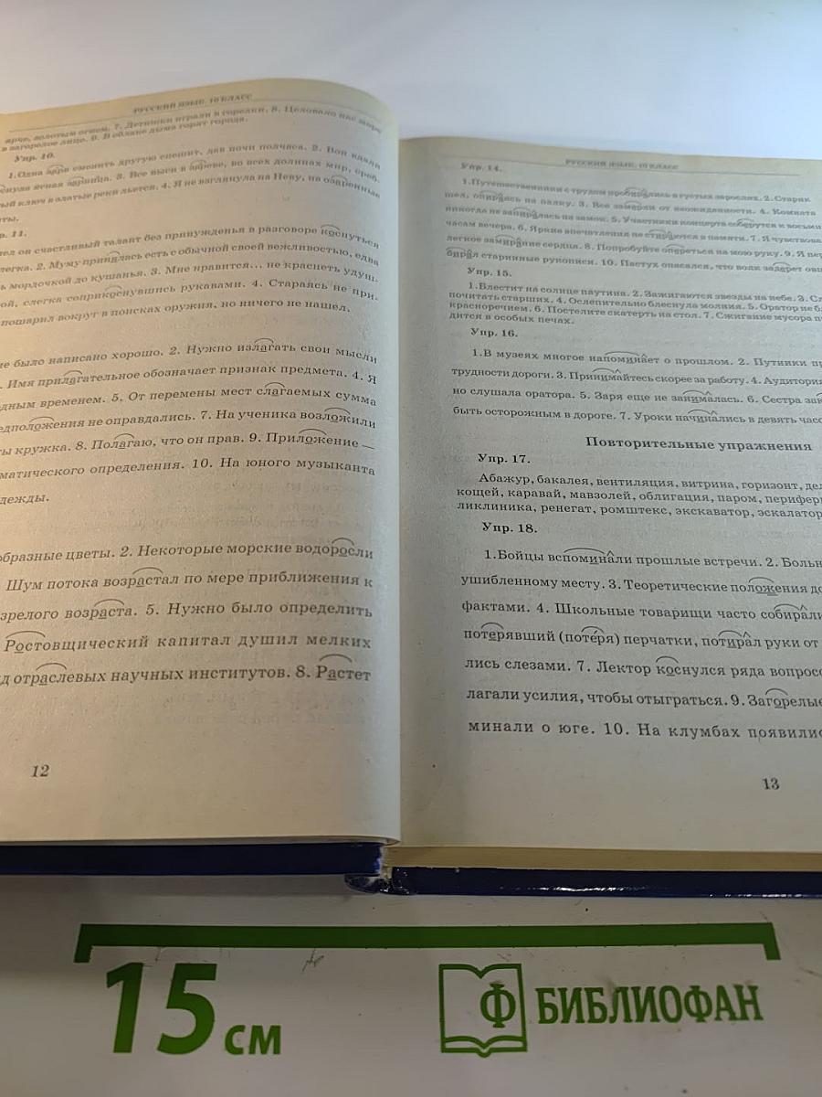 Школьная программа 10 класс В ответах и решениях. Русский язык, Физика, Химия