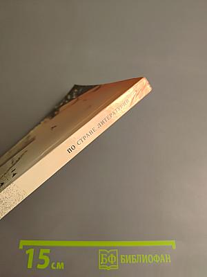 По стране литературы