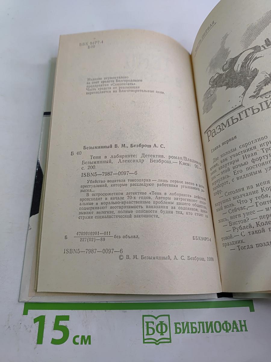 Тени в лабиринте