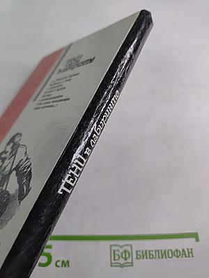 Тени в лабиринте