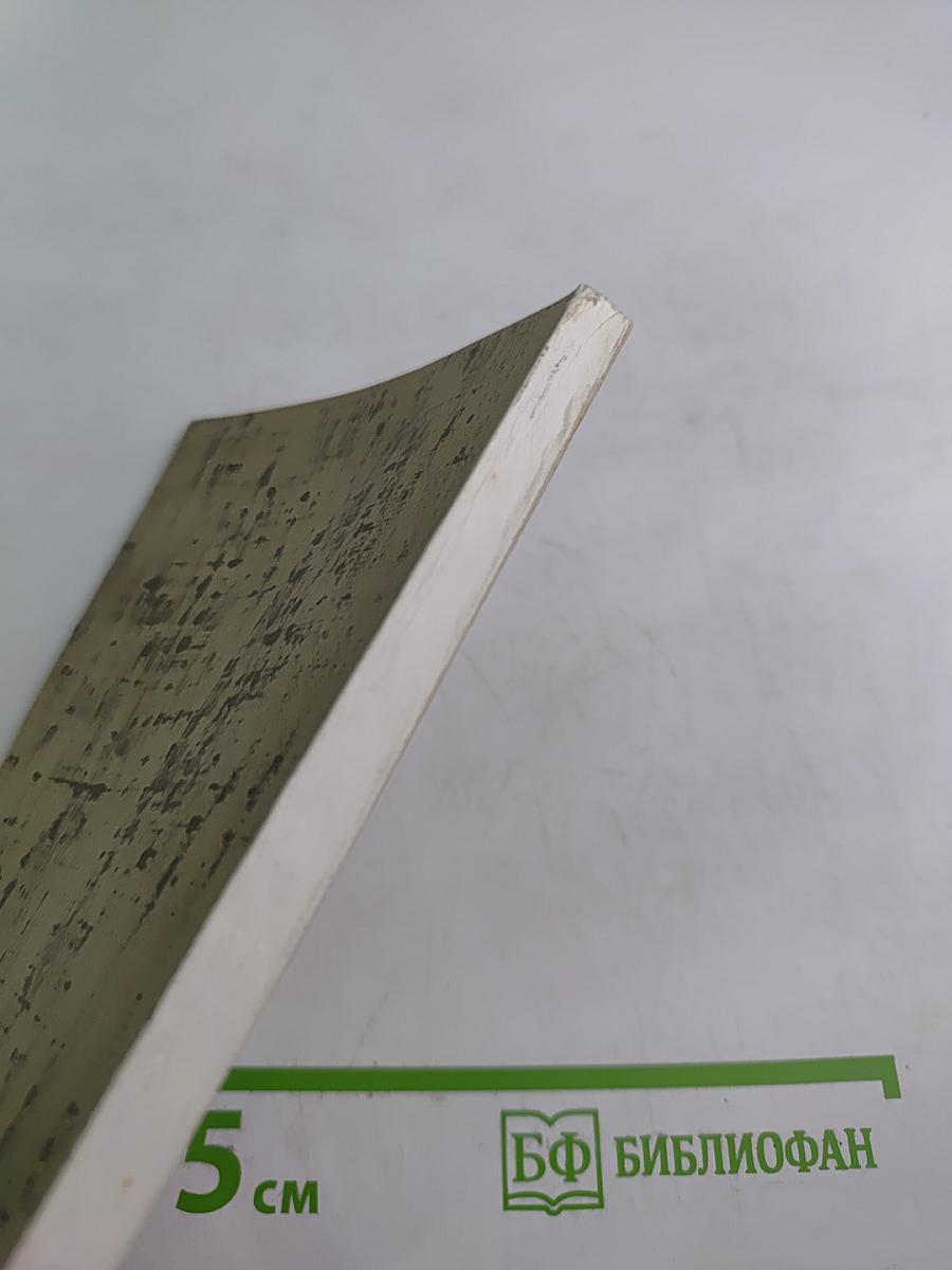 В глубь времени. Роман в стихах