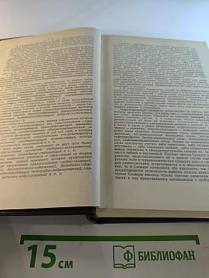 Слитно или раздельно? Опыт словаря-справочника