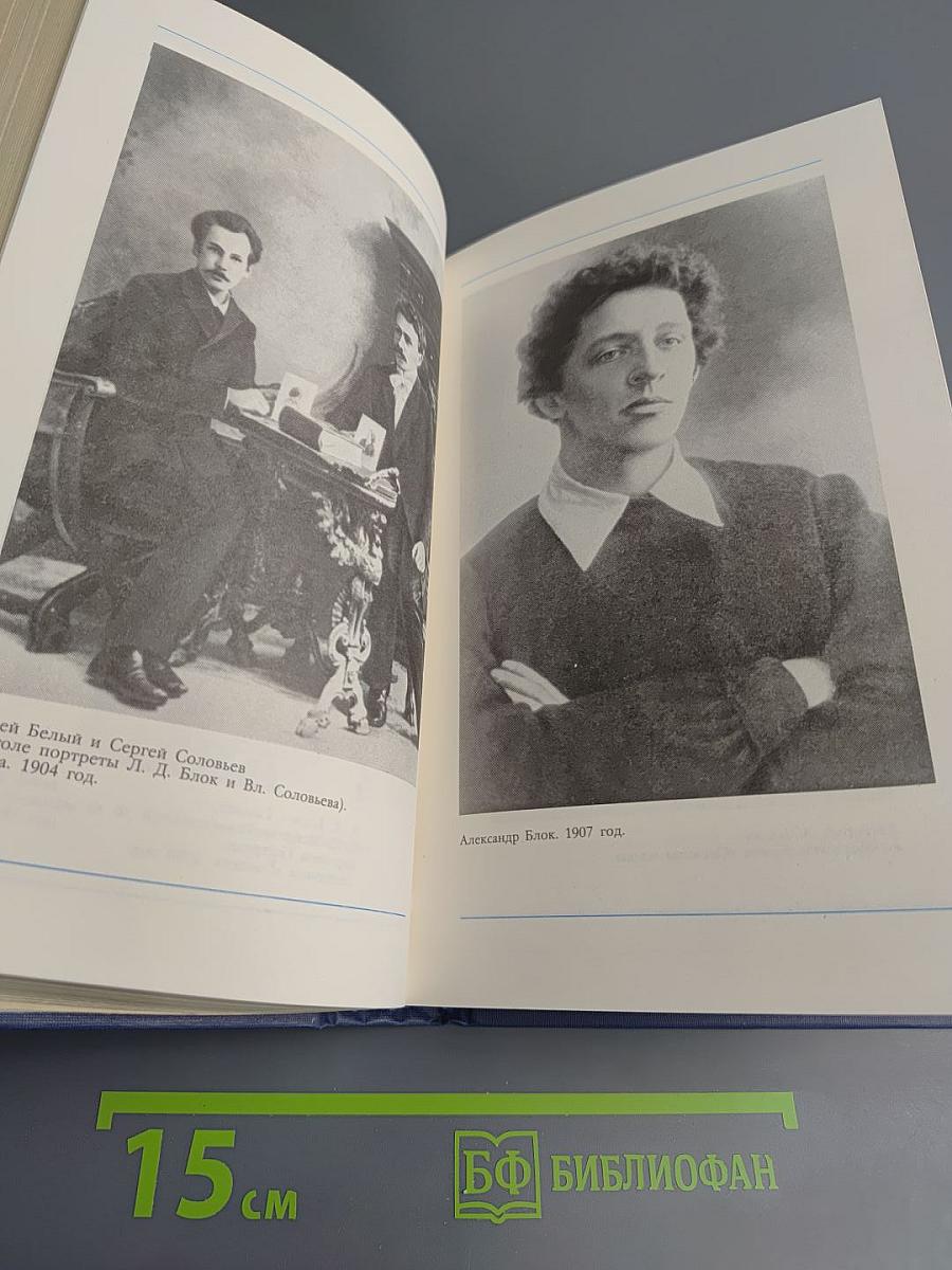 Я лучшей доли не искал... Судьба Александра Блока в письмах, дневниках, воспоминаниях