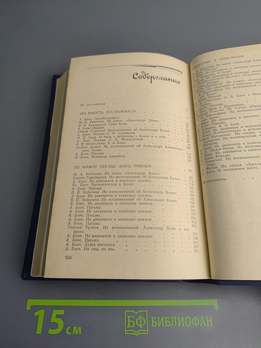 Я лучшей доли не искал... Судьба Александра Блока в письмах, дневниках, воспоминаниях