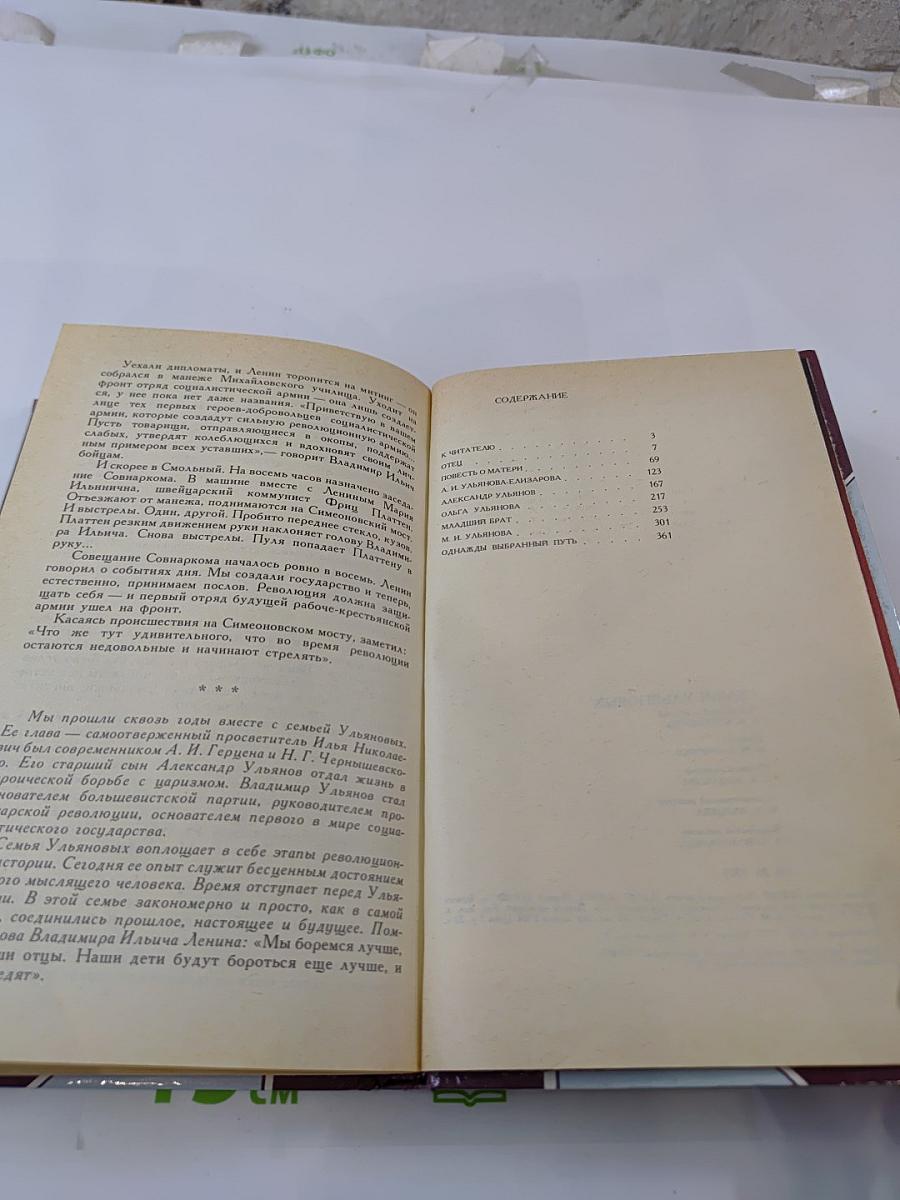 Семья Ульяновых