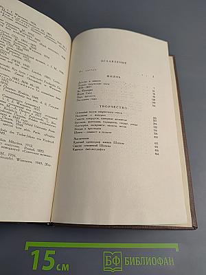 Фридерик Шопен. Жизнь и творчество