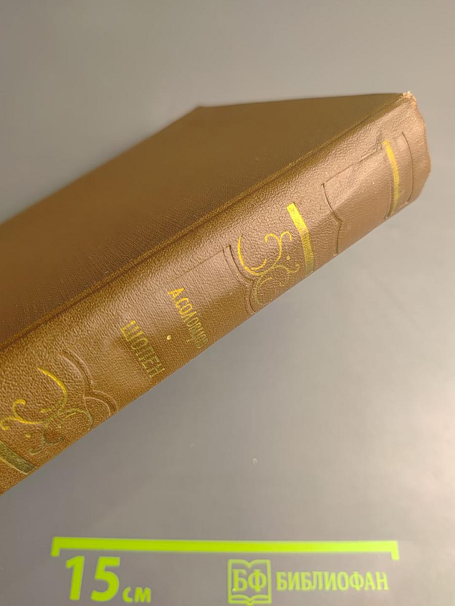 Фридерик Шопен. Жизнь и творчество