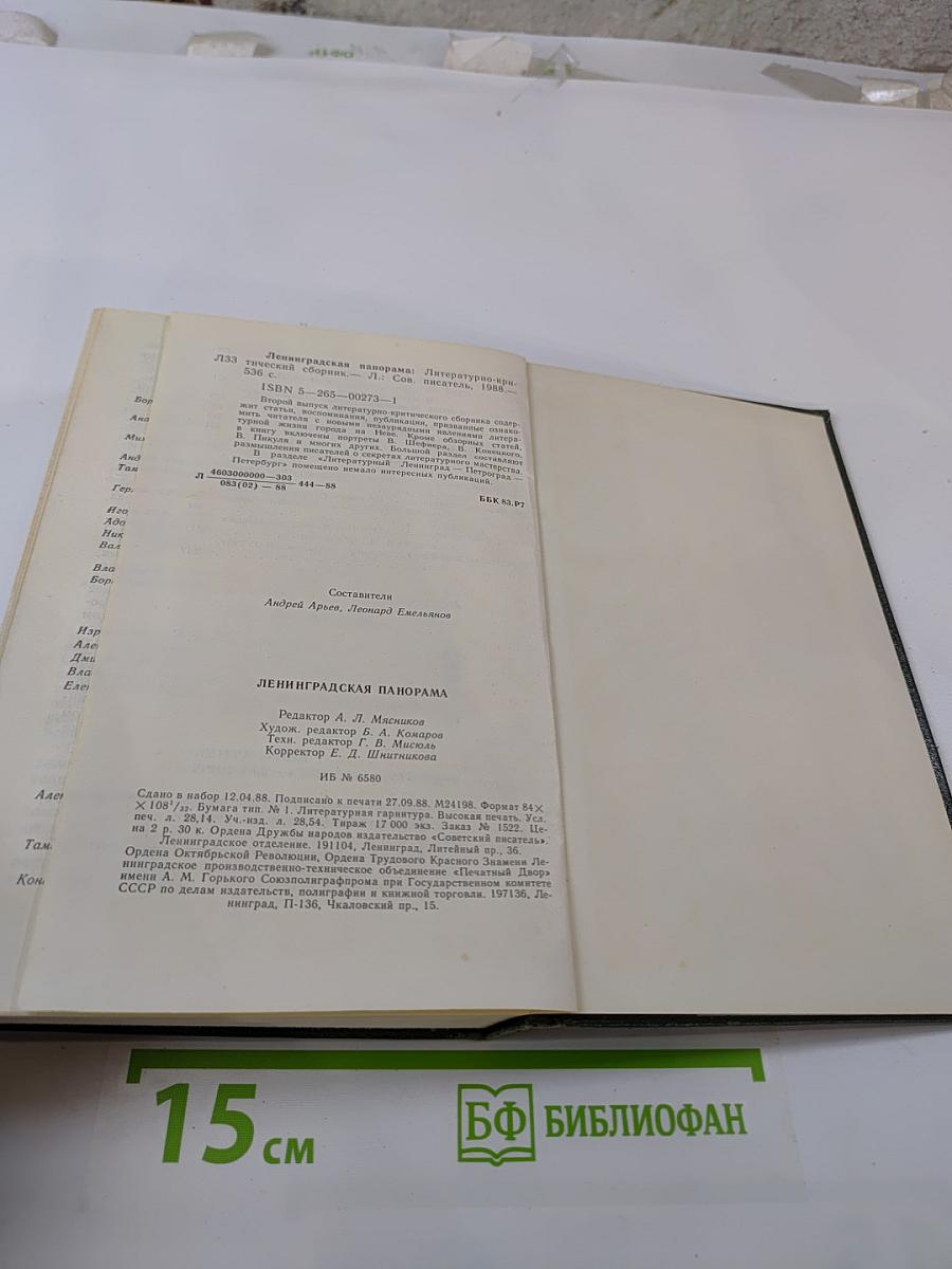 Ленинградская панорама