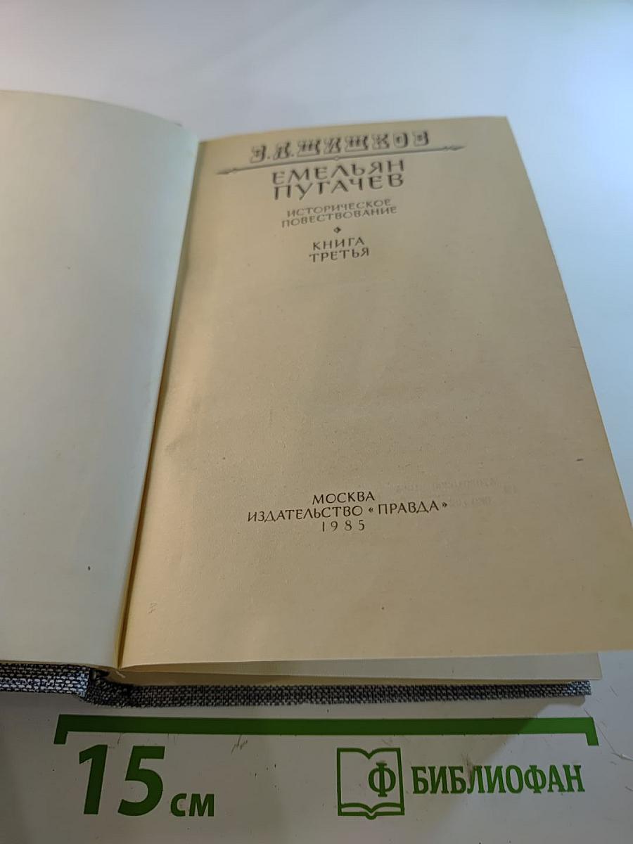 Емельян Пугачев. Историческое повествование. Книга третья
