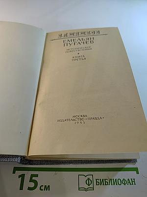 Емельян Пугачев. Историческое повествование. Книга третья