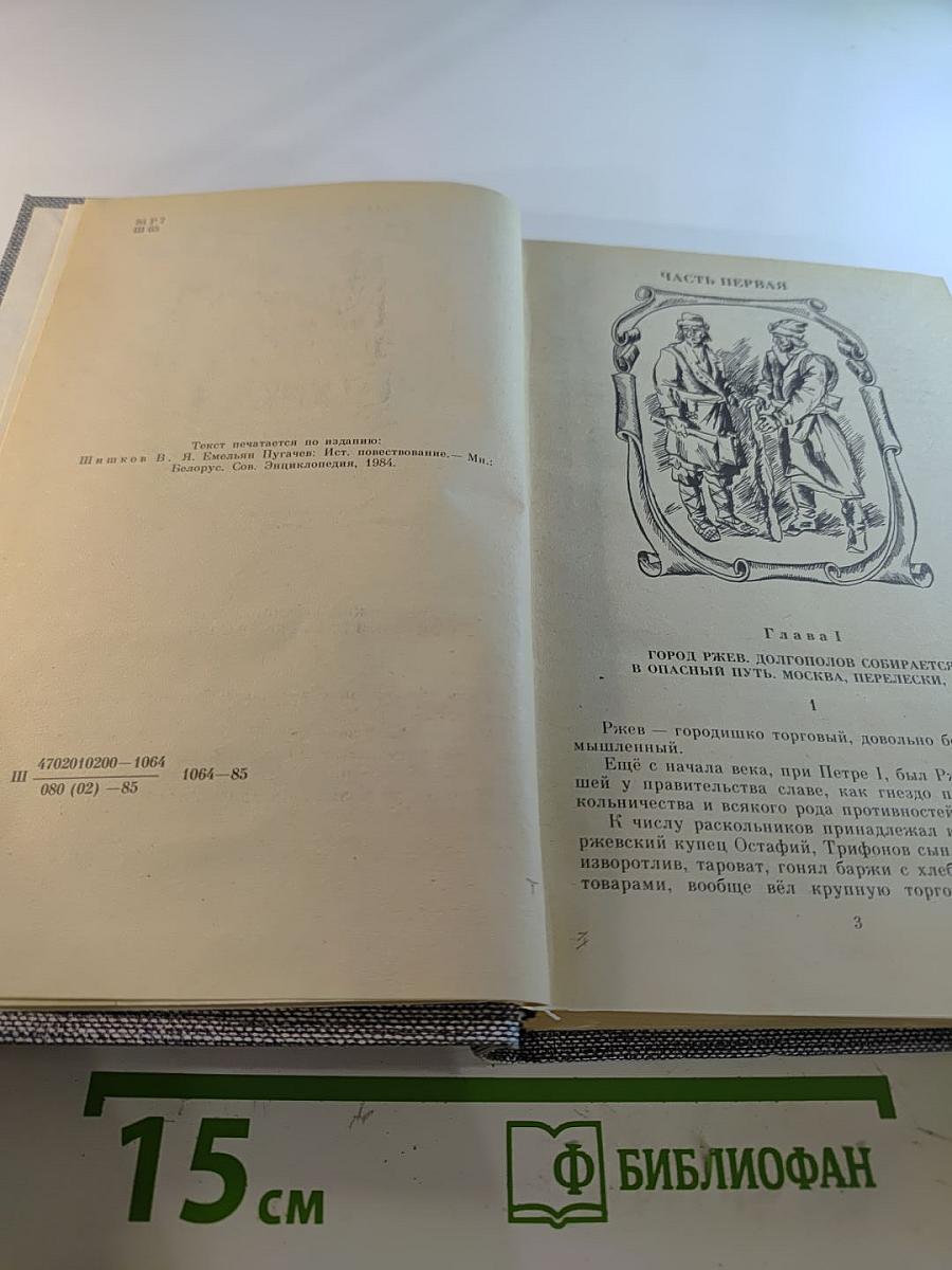 Емельян Пугачев. Историческое повествование. Книга третья
