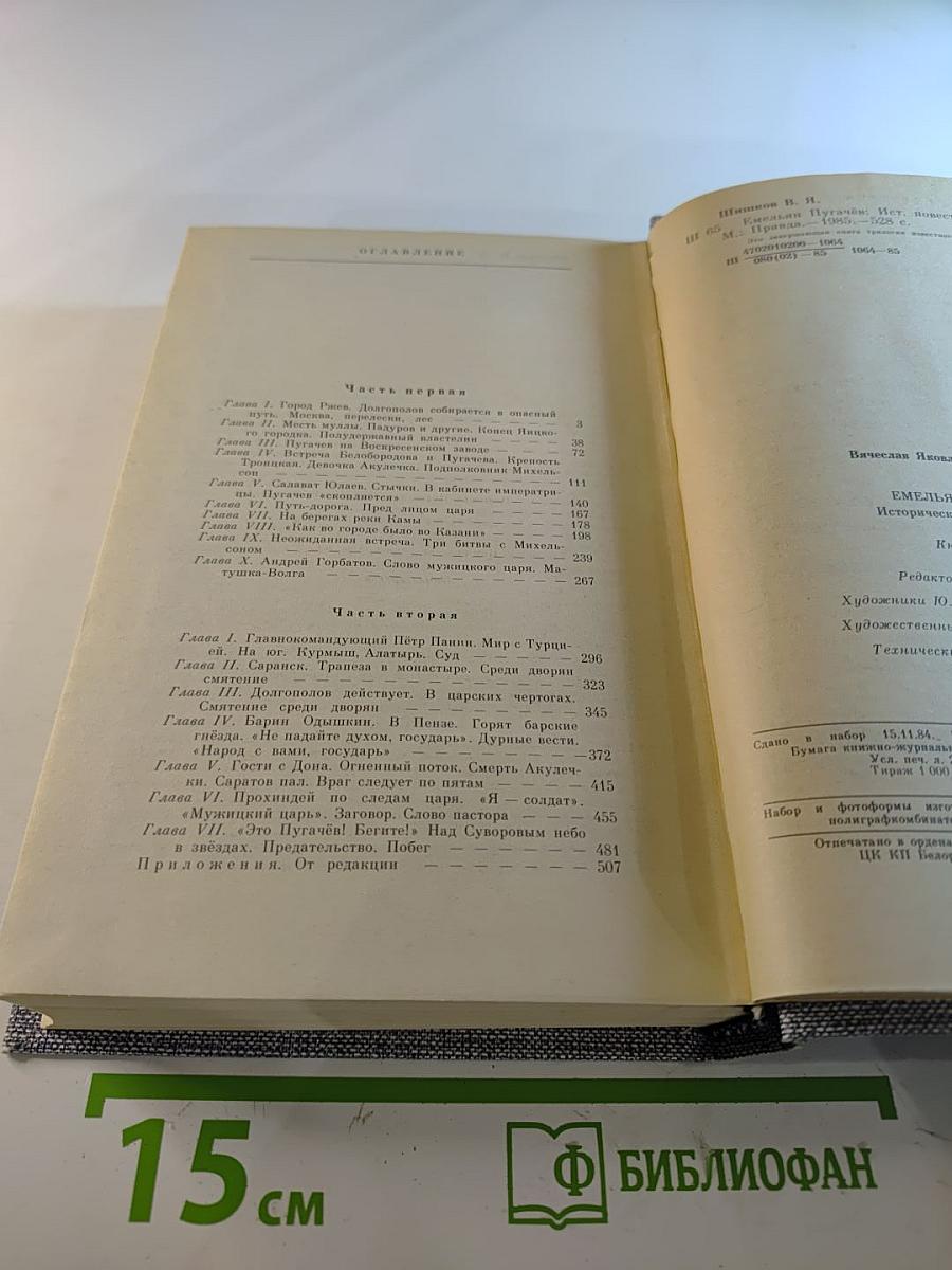 Емельян Пугачев. Историческое повествование. Книга третья