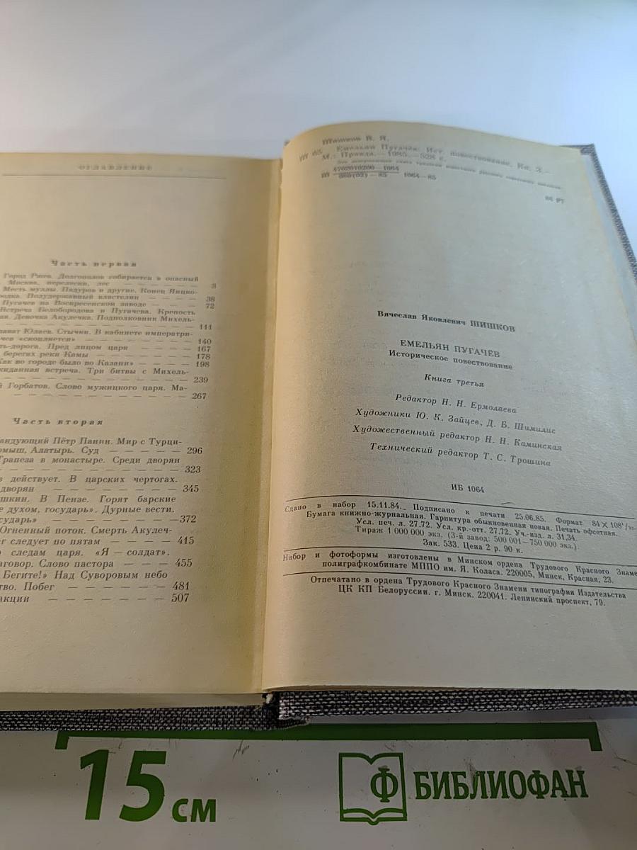 Емельян Пугачев. Историческое повествование. Книга третья