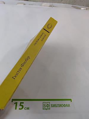 Госпожа Бовари. Новеллы